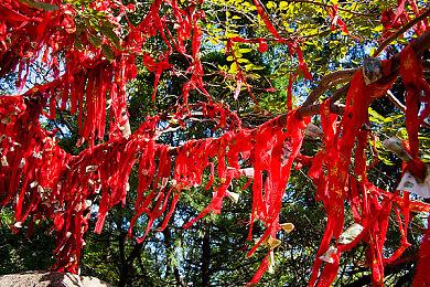 Take Two CEO：中世代升级对我们没什么影响